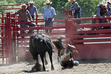 Image showing Rodeo