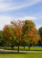 Image showing Autumn park