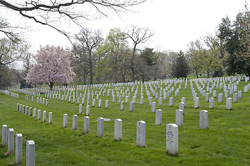 Image showing Arlington National Cemetary