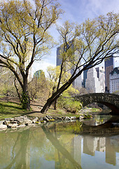 Image showing Gapstow Bridge in Spring