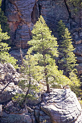 Image showing Mountains of Arizona