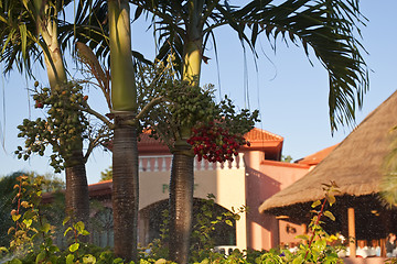 Image showing View of house with tropical plants