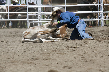 Image showing Rodeo