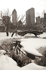 Image showing Central Park, New York. Beautiful park in beautiful city. 