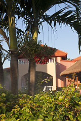 Image showing View of house with tropical plants