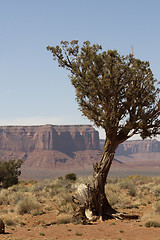 Image showing Monument Valley. USA