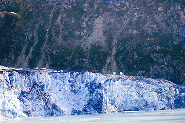 Image showing Alaska's Glacier Bay