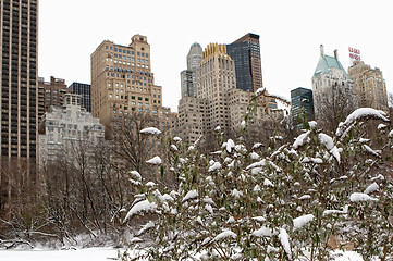 Image showing White winter in Manhattan. 