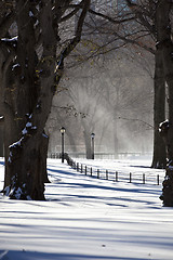 Image showing Central Park, New York. Beautiful park in beautiful city. 