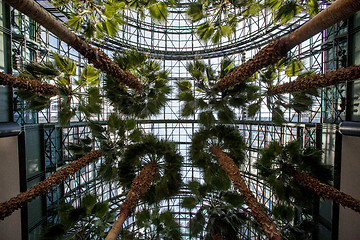 Image showing World Financial Center Winter Garden Atrium - Manhattan, New Yor