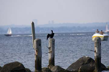 Image showing Ocean view