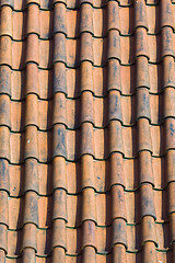 Image showing Prague. Red roofs- Background