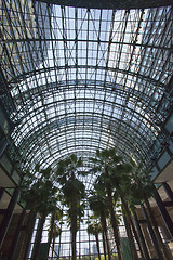 Image showing World Financial Center Winter Garden Atrium - Manhattan, New Yor