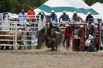 Image showing Rodeo