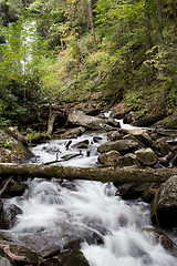 Image showing Forest waterfall in Helen Georgia.