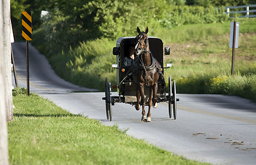 Image showing Horse with the carrige running to the village 