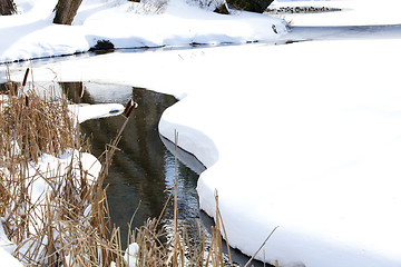 Image showing Stream in winter park