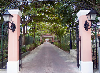 Image showing Driveway to the resort
