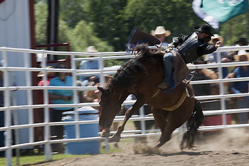 Image showing Rodeo