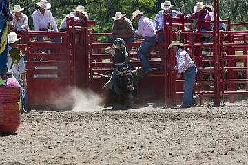 Image showing Rodeo