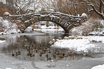 Image showing Centtral Park. Gapstow Bridge