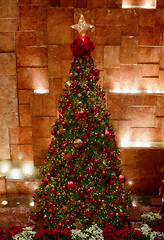 Image showing Christmas tree