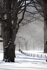 Image showing Central Park, New York. Beautiful park in beautiful city. 