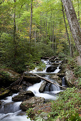 Image showing Forest waterfall in Helen Georgia.