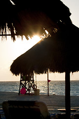 Image showing Straw umbrellas on sandy beach