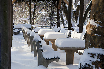 Image showing Central Park, New York. Beautiful park in beautiful city. 