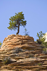 Image showing Zion National Park