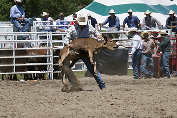 Image showing Rodeo