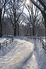 Image showing Central Park, New York. Beautiful park in beautiful city. 