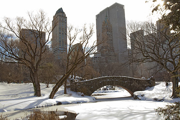 Image showing Central Park, New York. Beautiful park in beautiful city. 