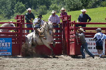 Image showing Rodeo