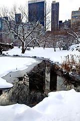 Image showing Central Park, New York. Beautiful park in beautiful city. 