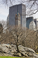 Image showing Central Park, New York. 