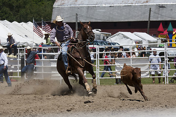 Image showing Rodeo