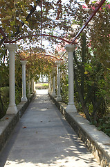 Image showing Pathway with columns