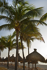 Image showing Beautiful Caribbean beach 