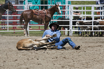 Image showing Rodeo