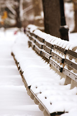 Image showing Snow covered benches in Central Park