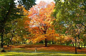 Image showing Autumn park