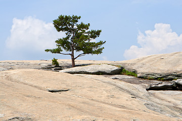 Image showing Top of Stone Mountain, Atlanta, Georgia. 