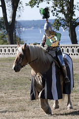 Image showing Medieval Knight 