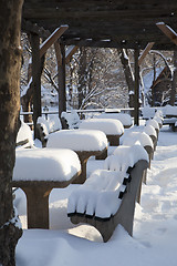 Image showing Central Park, New York. Beautiful park in beautiful city. 