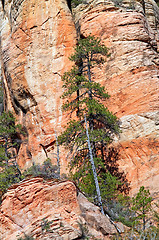 Image showing Mountains of Arizona