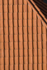 Image showing Prague. Red roofs