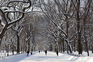 Image showing Central Park, New York. Beautiful park in beautiful city. 