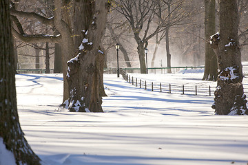 Image showing Central Park, New York. Beautiful park in beautiful city. 